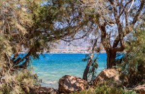 Από μέσα προς τα έξω: Πώς διαχειρίζομαι την ενέργειά μου καθημερινά πρωινό-παράθυρο-καφές